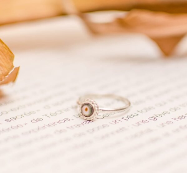 Anillo Sicilia con Haliotis