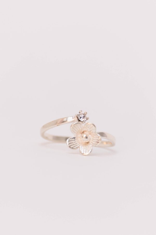 Anillo Brugge - Image 2