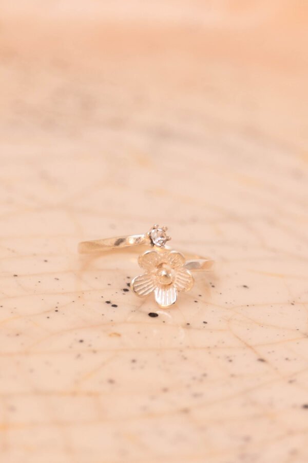 Anillo Brugge - Image 3